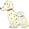 Dalmatian father and son