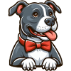 Pitbull Wearing a BowTie