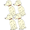 Dalmatian 4