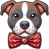Pitbull mit Fliege