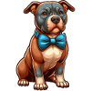 Pitbull die Süße