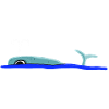 Whale