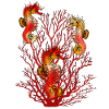 Sea horse