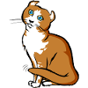 Cat | Cat | graphic is modificated