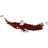 Aigle | Aigle > Vectorgraph