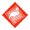 Flamingos Flamingos Flamingo