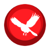 Animal, Flying, Animal