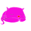 sleeping cat