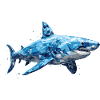 Great white Shark
