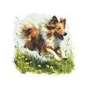 Shetland Cane Da Pastore Sheltie Cane Razza Pet Carino