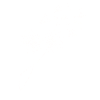 Dandelions.