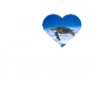 I loveTurtles