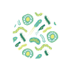 Well Cultured Microbiologist Science Microbiology