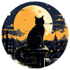 Midnight cat