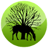 Cheval