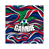 Gambian Energy Flow