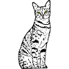 White Cat Cat White Cats Gift