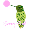 Colibri chewing-gum Colibris