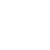 Baby Badger
