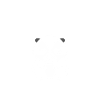 Humour blaireau