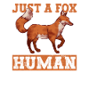 Cadeaux d’Halloween Funny Fox