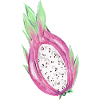Dragonfruit