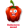 Habanero mood,habanero,chilli , spicy