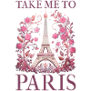 Paris France Eiffel Tower Souvenir