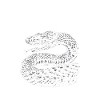 Snake, Snake, Animal