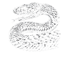 Snake, Snake, Animal