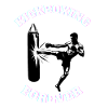 Kickboxing fighter Kickboxer