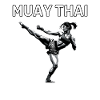 Muay Thaï Fille