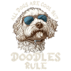 Alle hunde er seje, men kruseduller styrer labradoodle