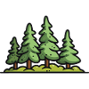 Forest, Trees, Nature