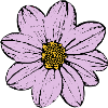 fleur, fleur, pastel, violet, lilas