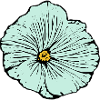Blume hellblau blaue Blume Malve
