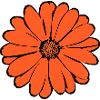 Lys, Fleur, Fleur, Oranges