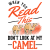 Kamel Geschenk Dromedar Camel Großkamel