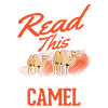 Kamel Geschenk Dromedar Camel Großkamel