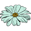 Flower, light blue, blue flower