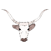 Bull