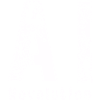 AI Revolution