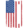 Sport Us Flag Equestrian