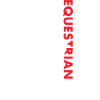 Sport Us Flag Equestrian