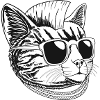Chat punk