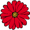Flower, Red, Red Flower