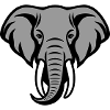Tête d’éléphant