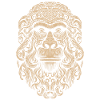 Wise Monkey