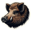 Wild boar