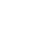ROMVLVS REVERSED SHIELD